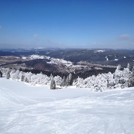 Hotel Etoile des Neiges 3*